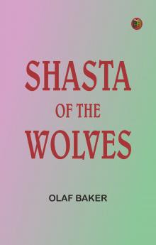 Shasta of the Wolves