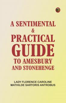 A sentimental & practical guide to Amesbury and Stonehenge