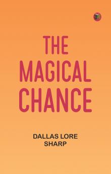 The Magical Chance