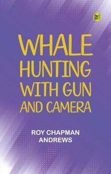 Whale hunting with gun and camera