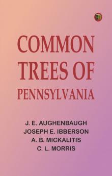 Common Trees of Pennsylvania