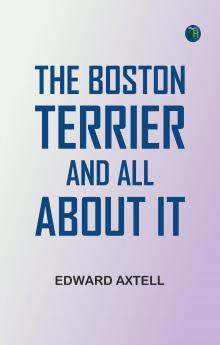 The Boston Terrier and All About It