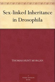 Sex-linked Inheritance in Drosophila
