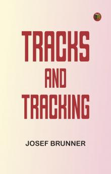 Tracks and Tracking