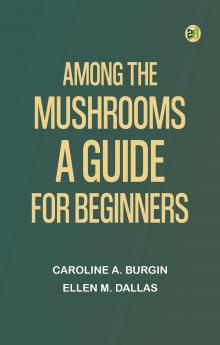 Among the Mushrooms: A Guide For Beginners