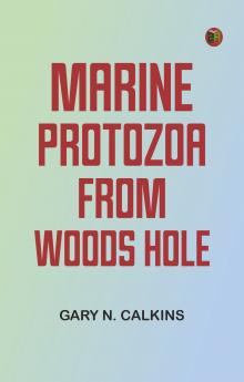 Marine Protozoa from Woods Hole