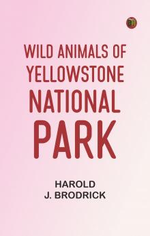 Wild Animals of Yellowstone National Park