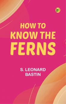 How to Know the Ferns