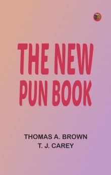 The New Pun Book