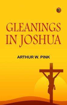 Gleanings in Joshua