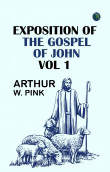 Exposition of the Gospel of John Vol 1