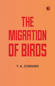 The Migration of Birds