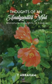 Thoughts of an Amalgamated Mind: Miniature Thoughts In Essays