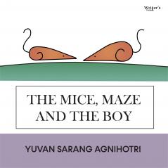 The Mice Maze and The Boy