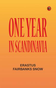 One Year in Scandinavia