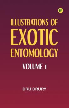 Illustrations of Exotic Entomology Volume 1