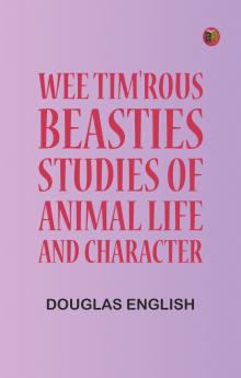Vertebrates from the Barrier Island of Tamaulipas Mexico