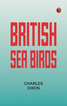 British Sea Birds