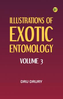 Illustrations of Exotic Entomology Volume 3