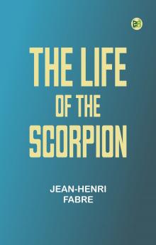 Little Brothers of the Air