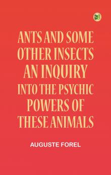 Following the Equator: A Journey Around the World. Part 2