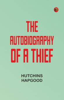 The Autobiography of a Thief