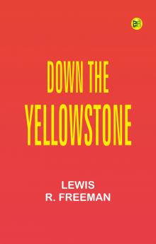 Down the Yellowstone