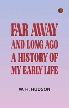 The Children's Bible