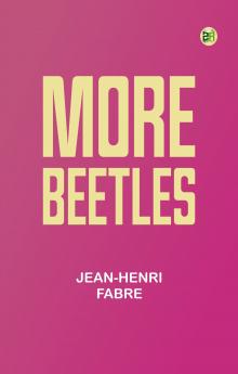 Notes on Stable Management in India and the Colonies