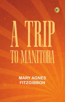 Stories about Animals: with Pictures to Match