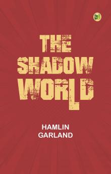 The Shadow World