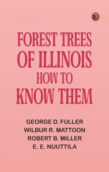 A Brief Bible History: A Survey of the Old and New Testaments