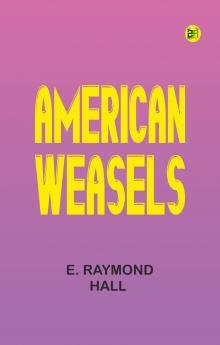 American Weasels