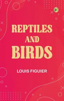 Reptiles and Birds