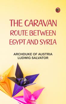 The Caravan Route between Egypt and Syria