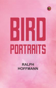 Bird Portraits