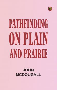 Pathfinding on Plain and Prairie