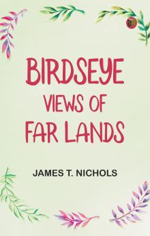 Birdseye Views of Far Lands