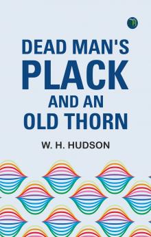 Dead Man's Plack and an Old Thorn