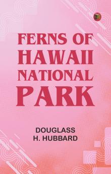 Ferns of Hawaii National Park