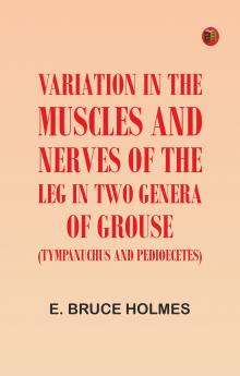 Variation in the Muscles and Nerves of the Leg in Two Genera of Grouse (Tympanuchus and Pedioecetes)
