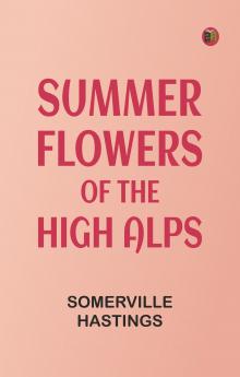 Summer Flowers of the High Alps