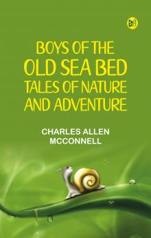Boys of the Old Sea Bed: Tales of Nature and Adventure