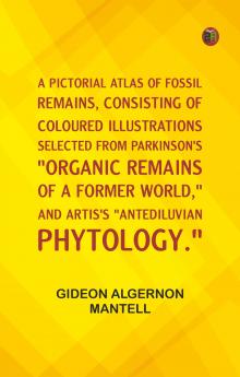 A Pictorial Atlas of Fossil Remains consisting of coloured illustrations selected from Parkinson's Organic remains of a former world and Artis's Antediluvian phytology.