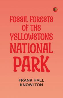 Fossil Forests of the Yellowstone National Park