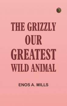 The Grizzly Our Greatest Wild Animal