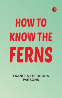 How to Know the Ferns