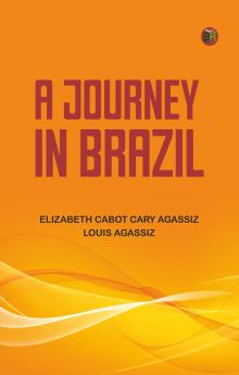 A Journey in Brazil