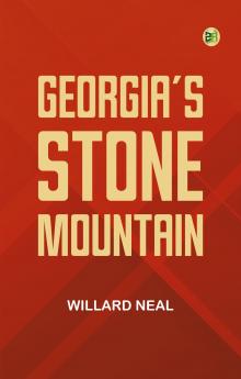 Georgia's Stone Mountain