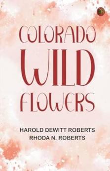 Colorado Wild Flowers